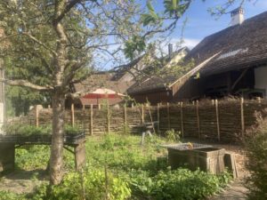 Die grosszügig angelegte Astwand fasst den Garten ein.