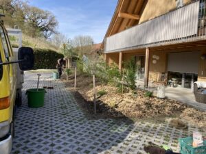 20260109_Gartenfpelge2