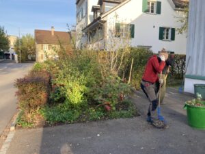 Regelmässige Pflege zum rich gen Zeitpunkt bringt Erfolg.