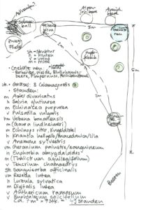 Pflanzplanung für ein neues Gartenbeet