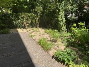 Die bestehende Bepflanzung wurde mit neuen Scha enstauden ergänzt.